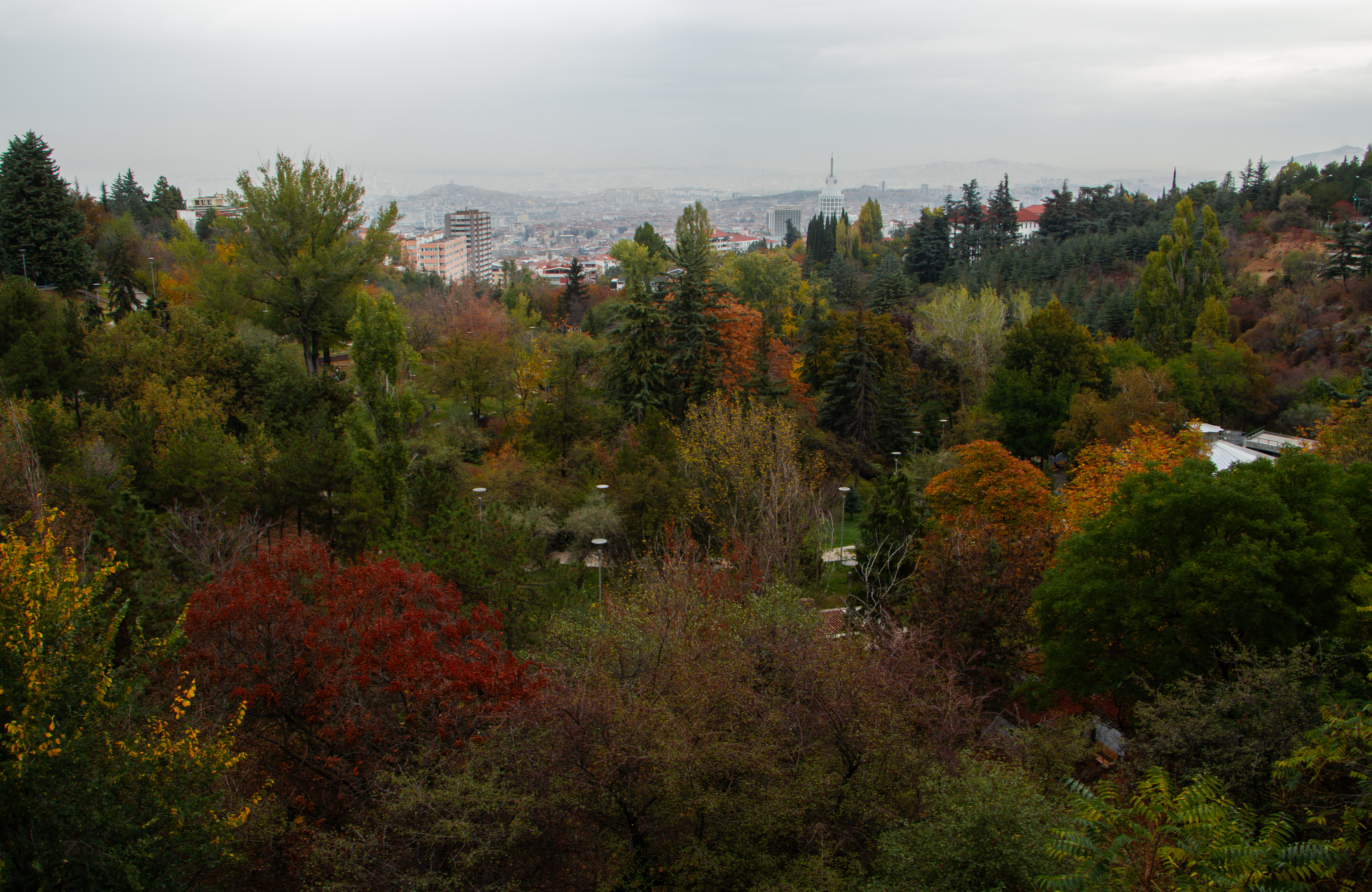 Başkentin parkları sonbahar renklerine büründü
