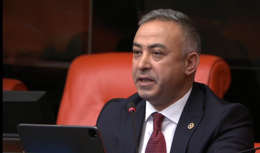 Yeni Partili Tahtasız: Hasat zamanı ayçiçeğinde ithalat açıldı