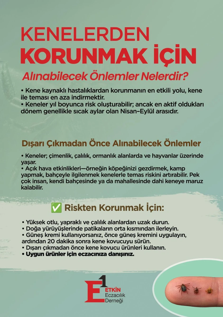 Kene Korunma Görsel1
