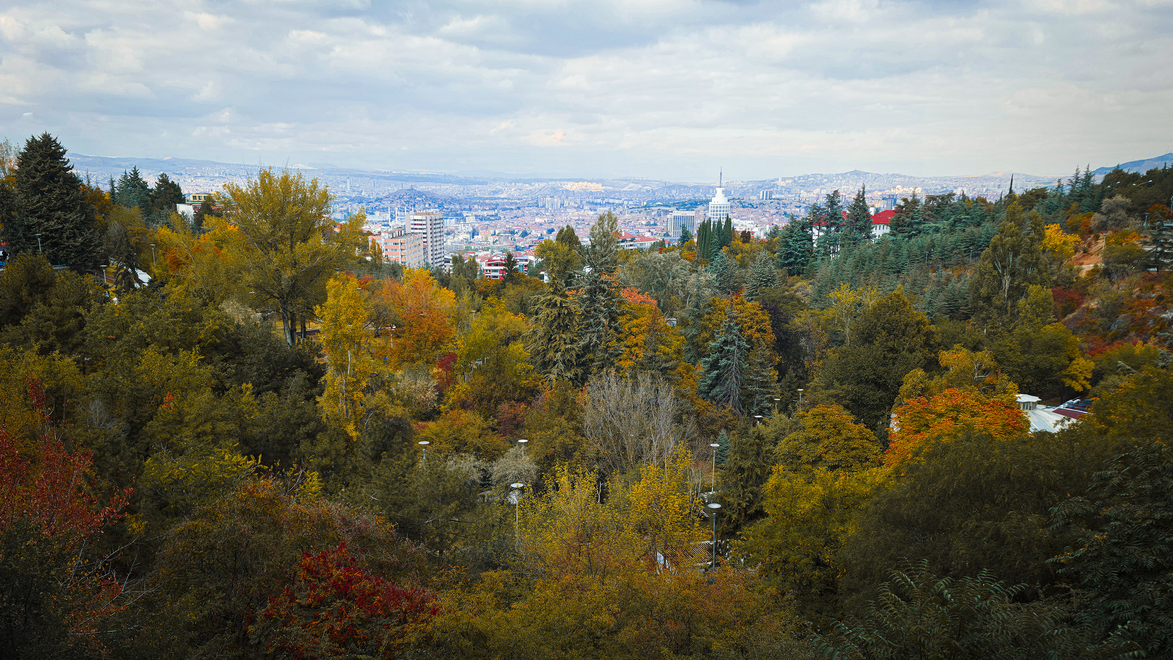 Başkentin parklarında sonbahar esintisi