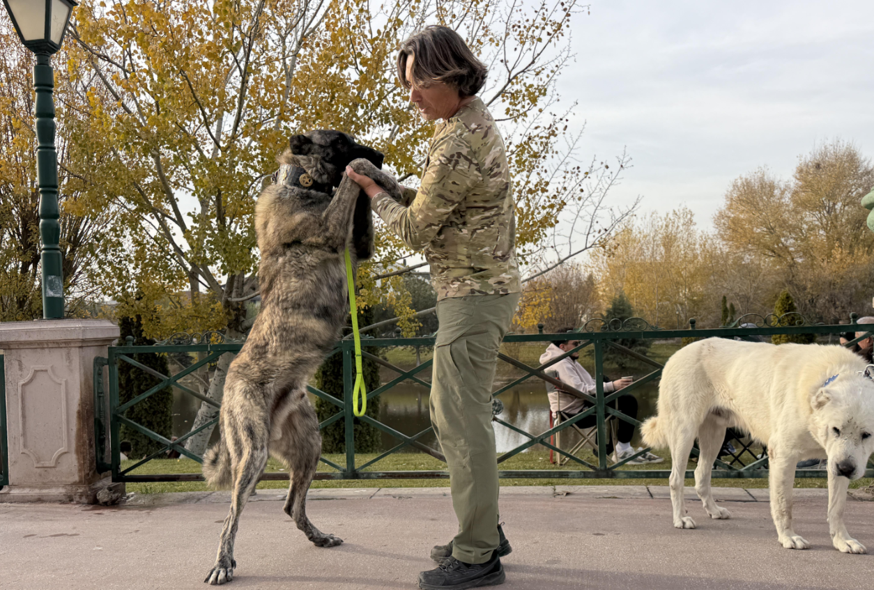 Ekran Görüntüsü 2025 11 30 123614