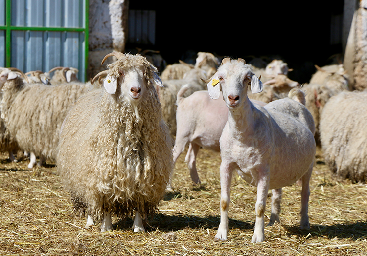 008 2024 09 Mart 31 Mart 25 20240303 2 62811833 98342676