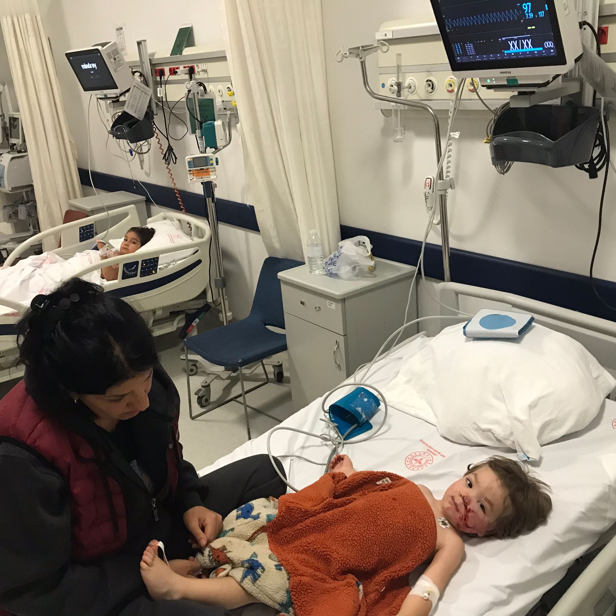 A N K A R A’ D A P I T B U L L S A L D I R I S I N A U G R A Y A N 1 1041058 308918