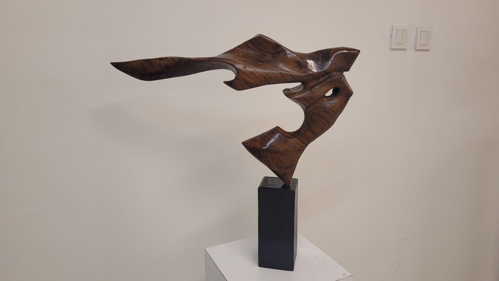 Whatsapp Image 2025 12 28 At 10.19.03