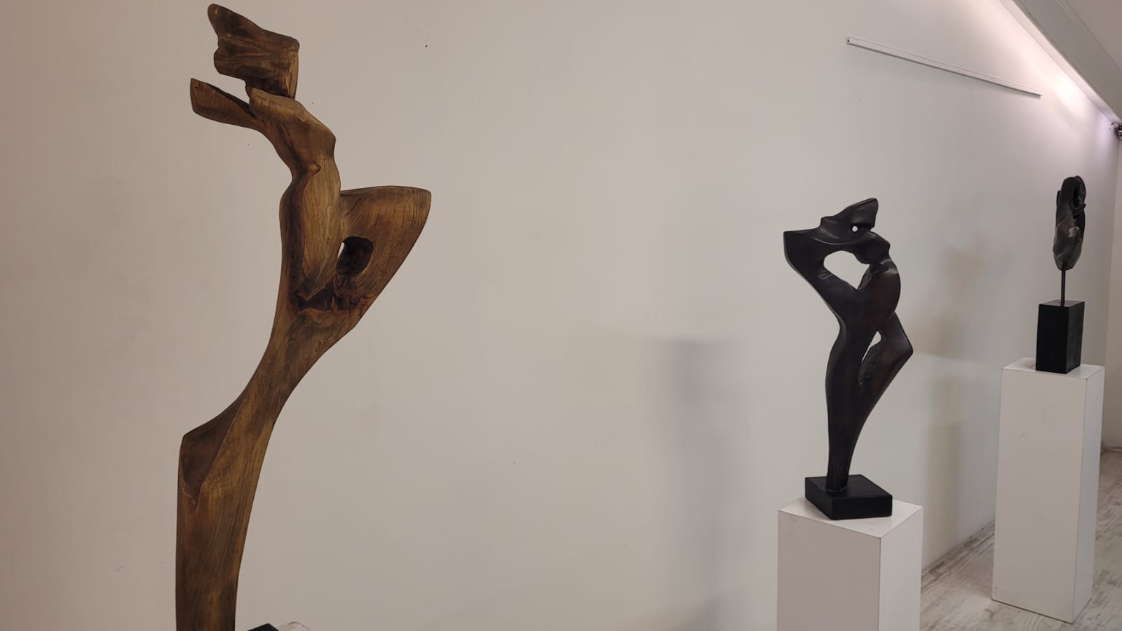 Whatsapp Image 2025 12 28 At 10.19.04 (1)