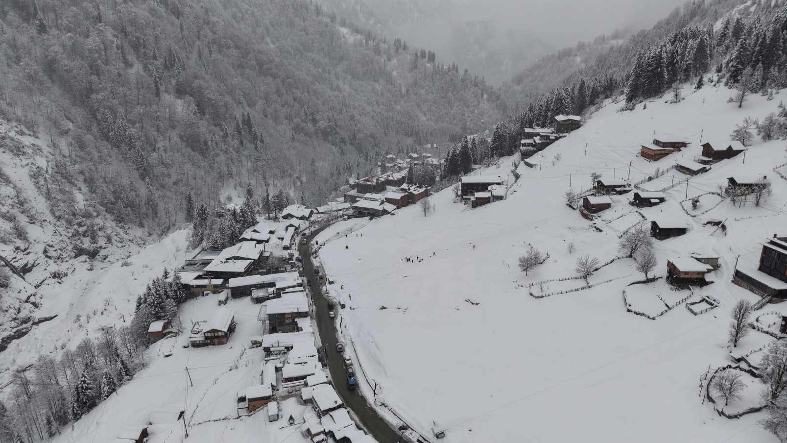 A Y D E R’ D E S O M E S T I R V E F E S T I V A L Y O G U N L U G U 1118997 332111