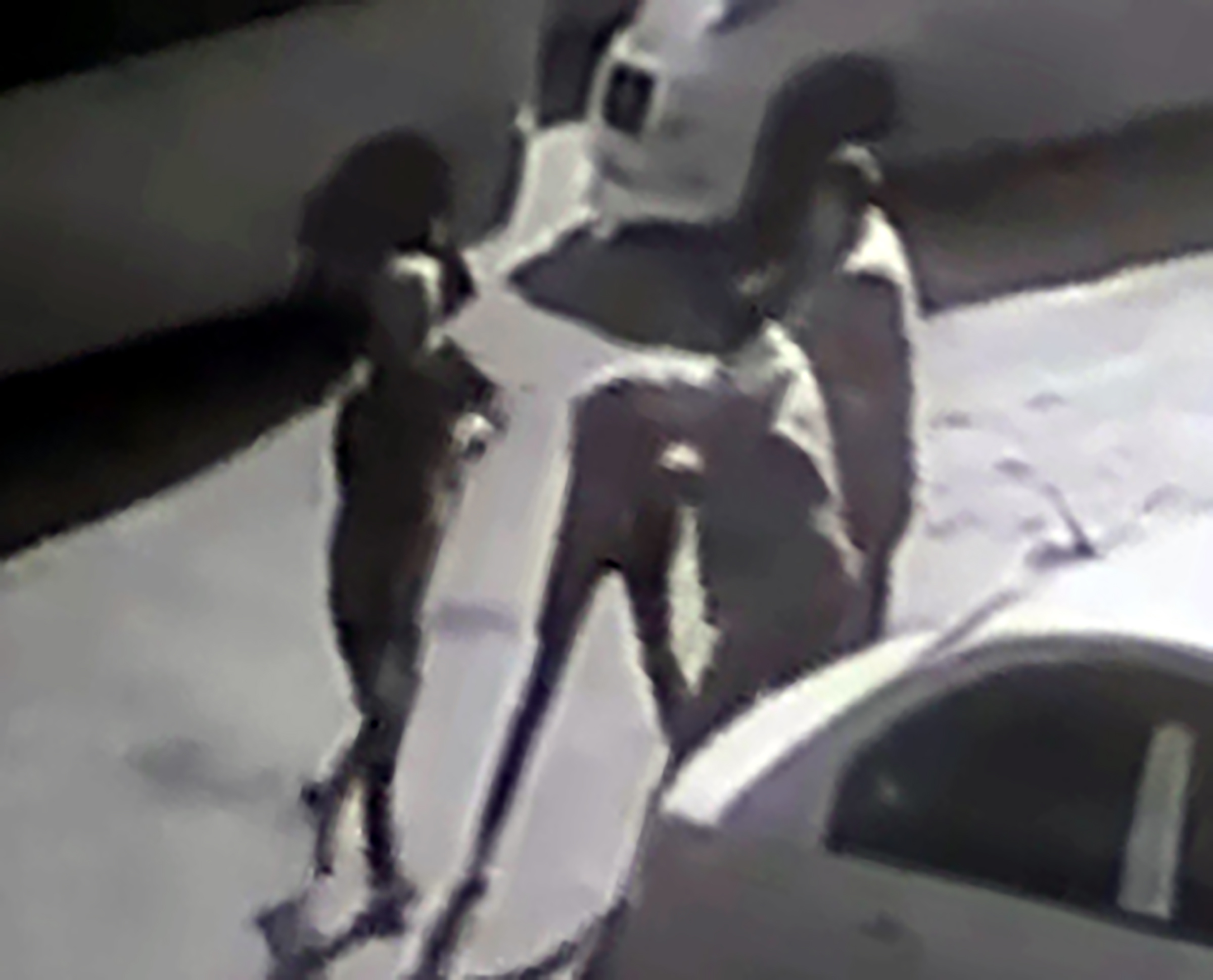 D U R A K T A ‘ K U F U R’ T A R T I S M A S I N D A B A R D A K L A V 1142387 339161