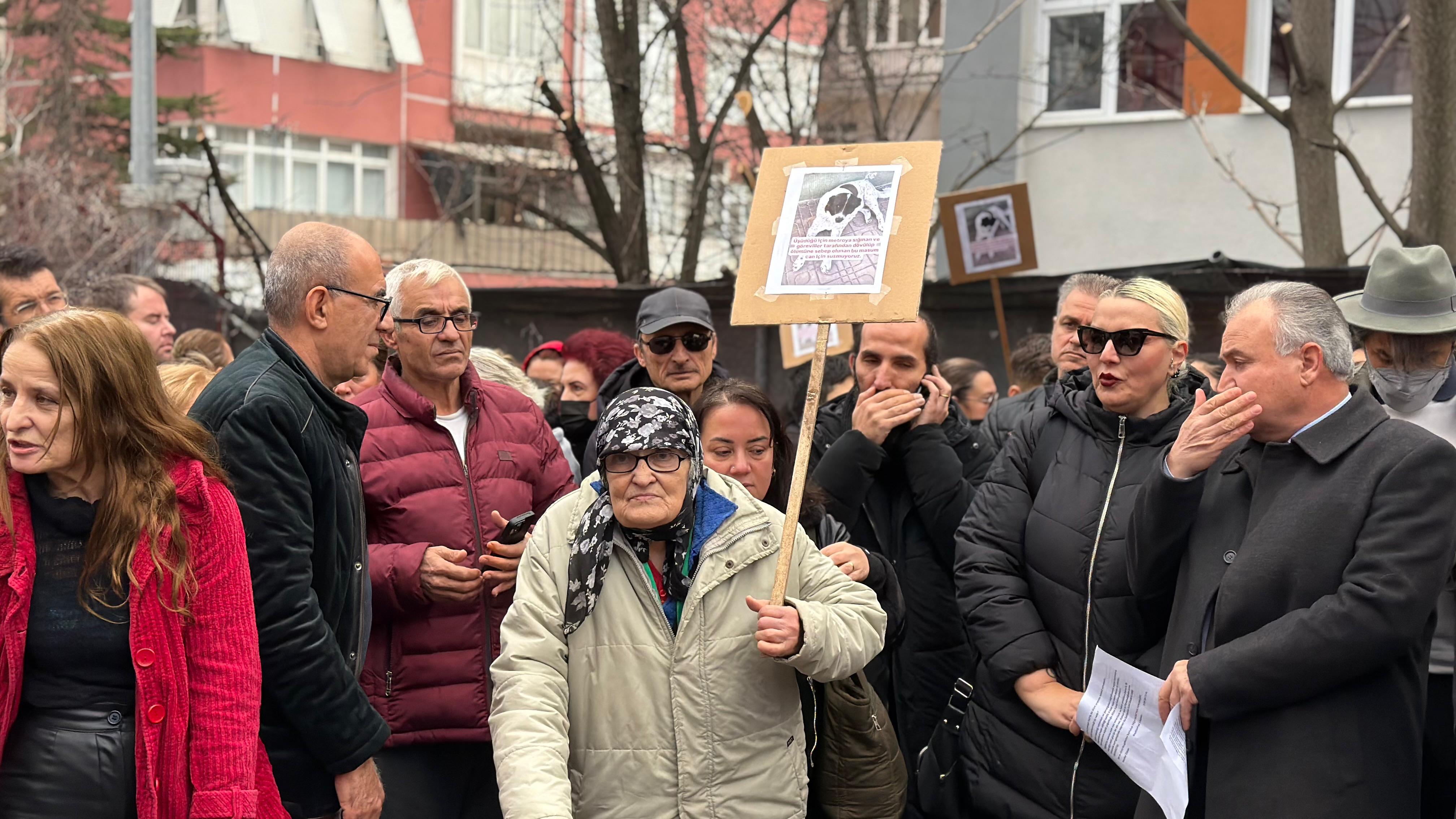 H A Y V A N S E V E R L E R D E N M A T M A Z E L I C I N B A S I N 1102627 327326