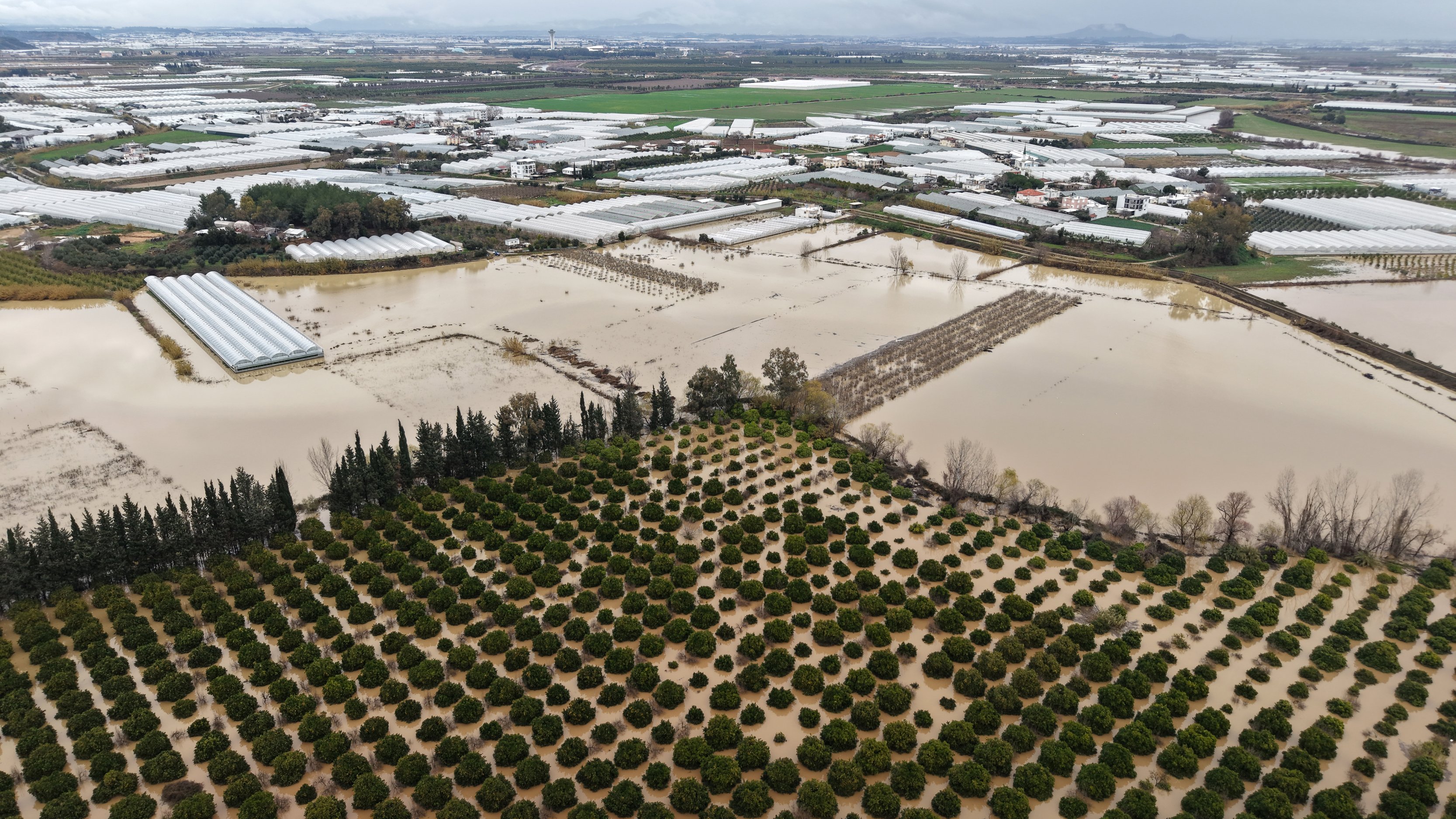 Y A G M U R V E H O R T U M S E B Z E M E Y V E Y I V U R D U 1142706 339308