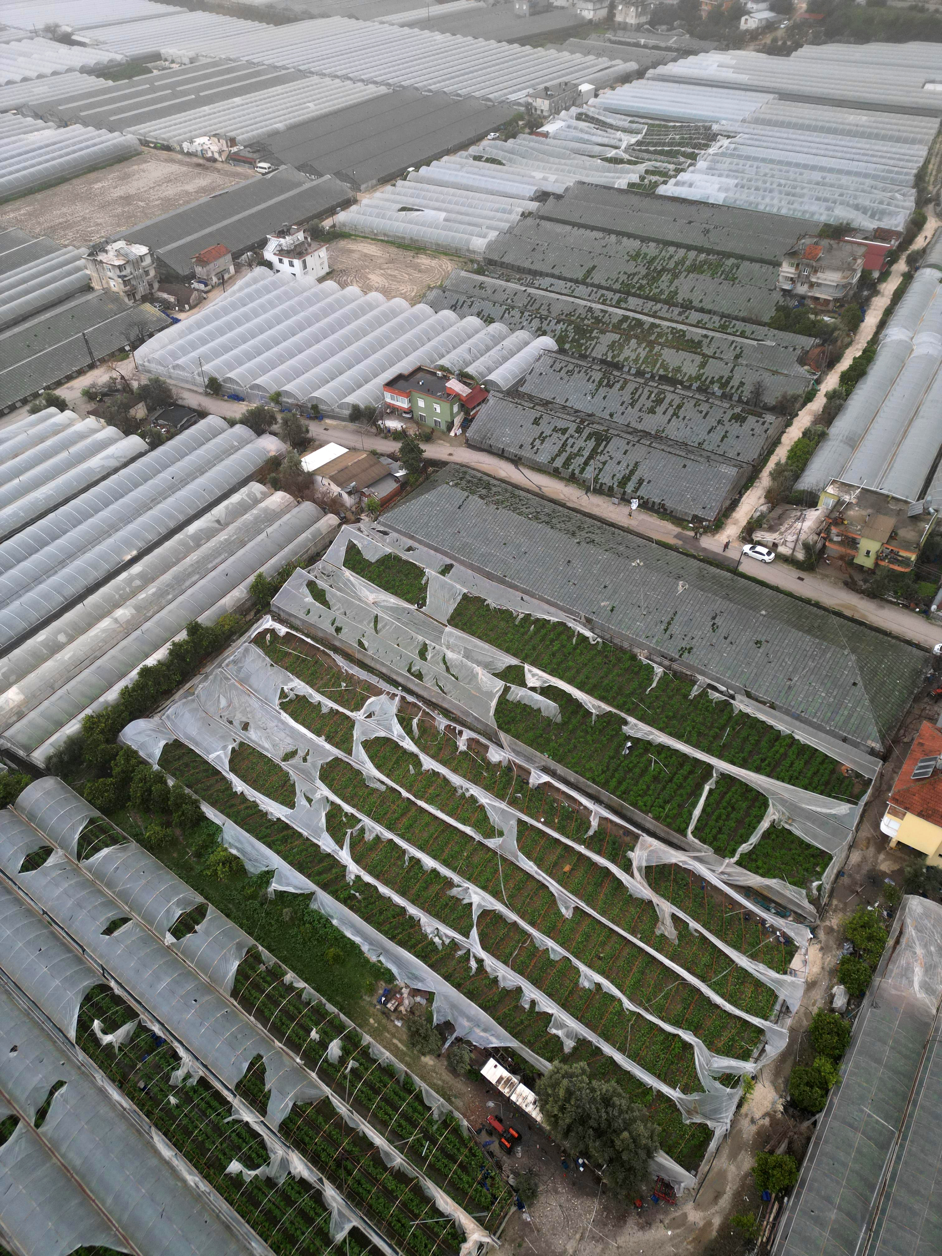 Y A G M U R V E H O R T U M S E B Z E M E Y V E Y I V U R D U 1142708 339308