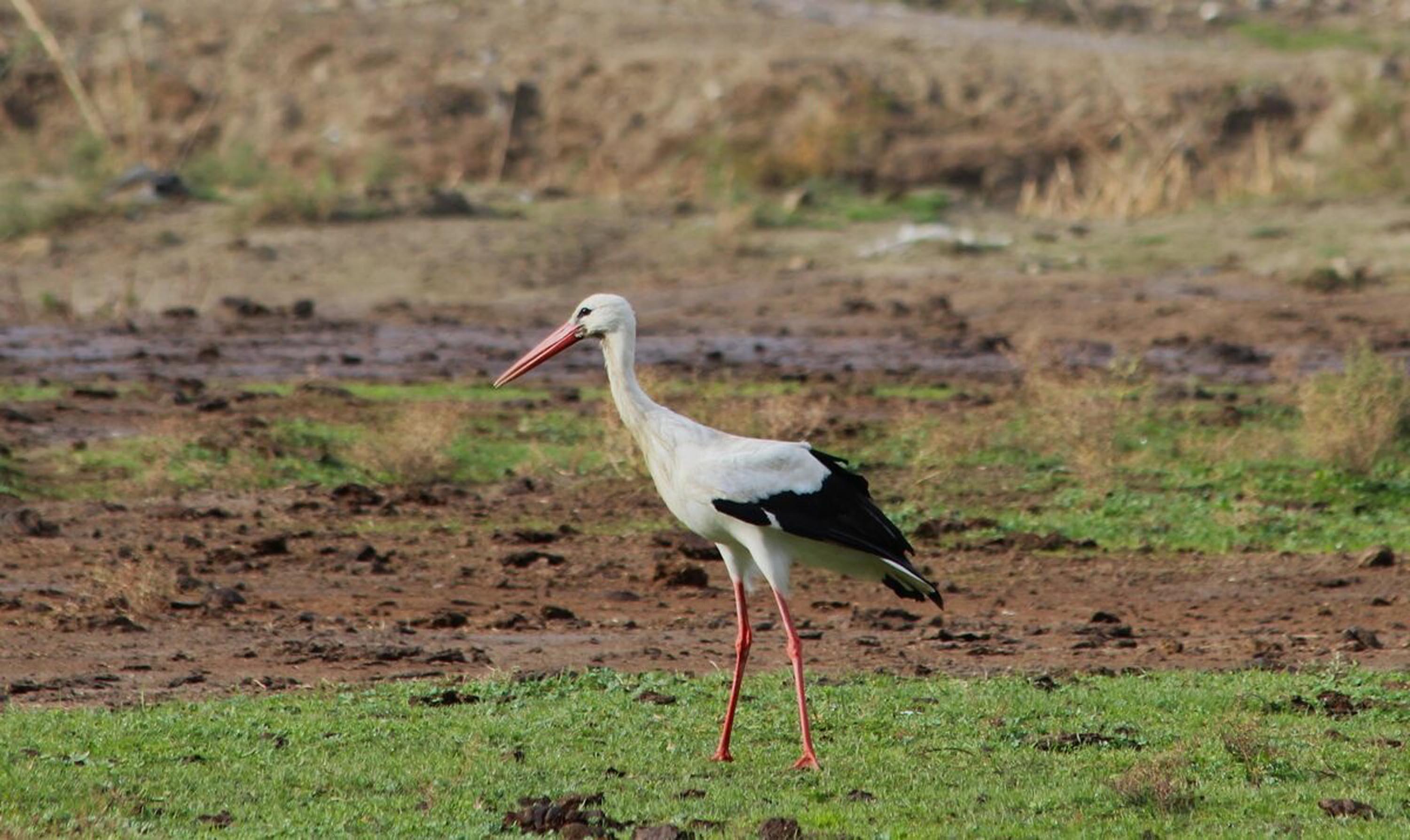 A Y D I N D A Y I L I N I L K L E Y L E G I N I G O R D U B I R 1171298 347924