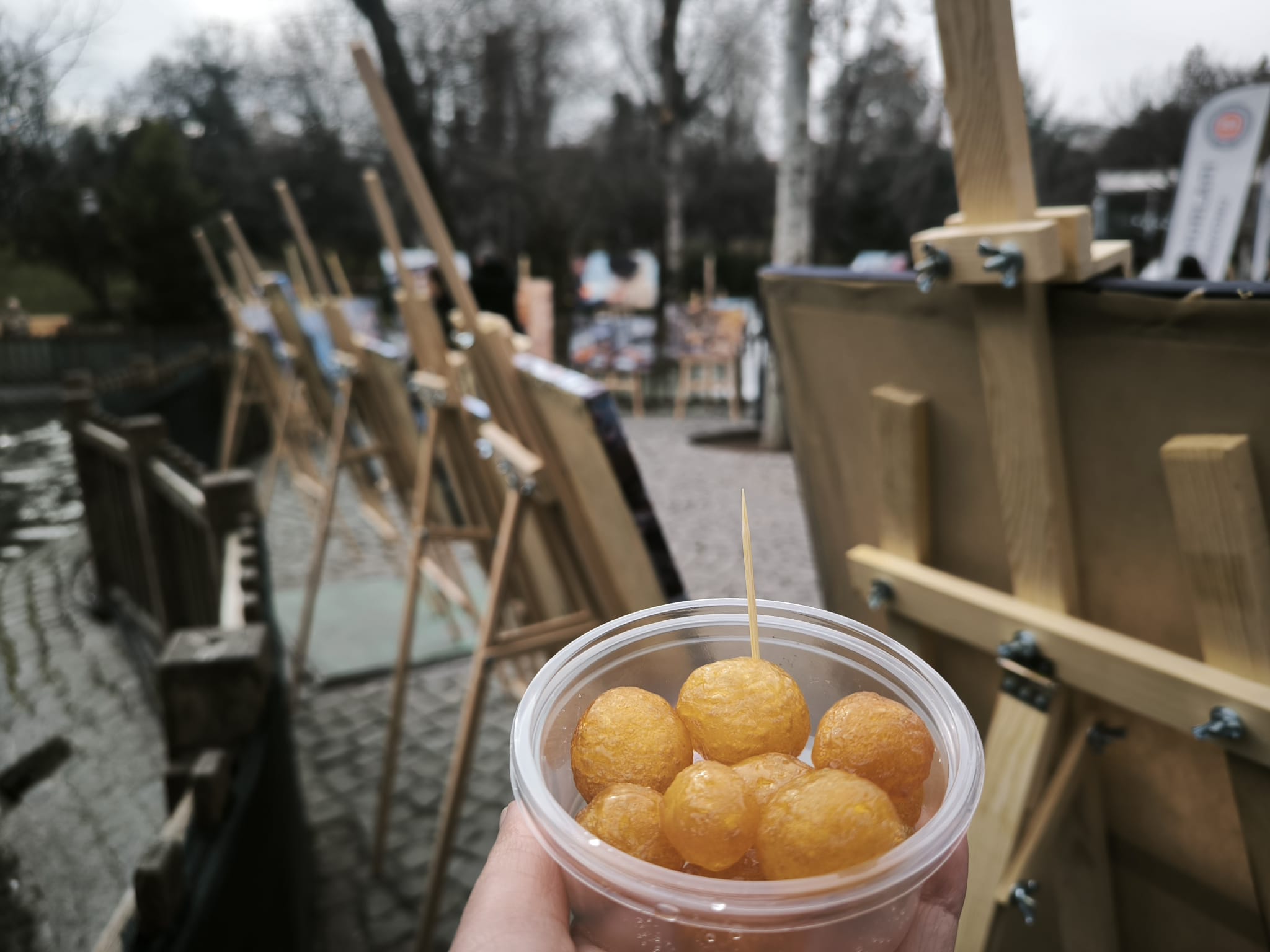 Whatsapp Image 2026 02 05 At 15.12.01