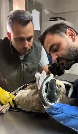 58 B I N 22 Y A R A L I Y A B A N H A Y V A N I T E D A V I E D 1224014 363927