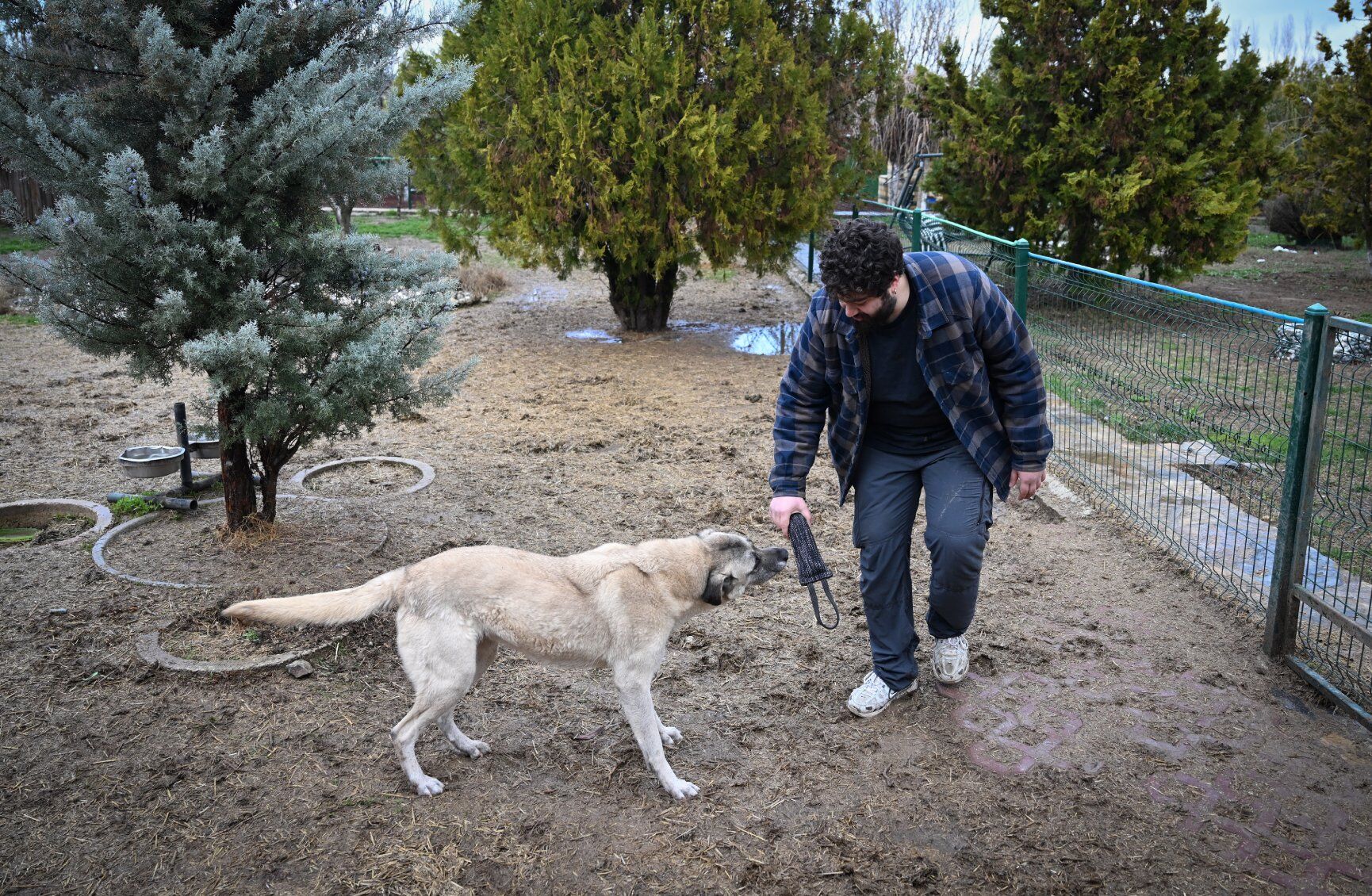 A A 20260404 41009601 41009597 S A H I P S I Z K O P E K L E R E G I T I M V E R E H A B I L I T A S Y O N S U R E C I Y L E Y E N I H A Y A T L A R I N A H A Z I R L A N I Y O R