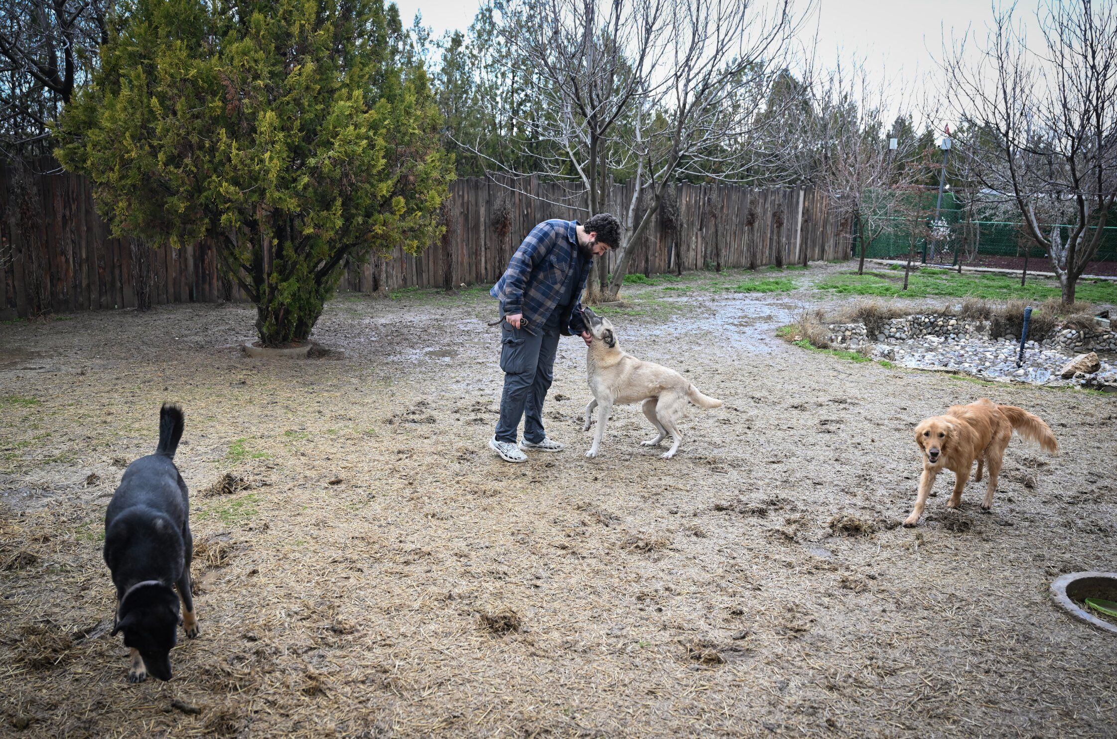 A A 20260404 41009601 41009600 S A H I P S I Z K O P E K L E R E G I T I M V E R E H A B I L I T A S Y O N S U R E C I Y L E Y E N I H A Y A T L A R I N A H A Z I R L A N I Y O R