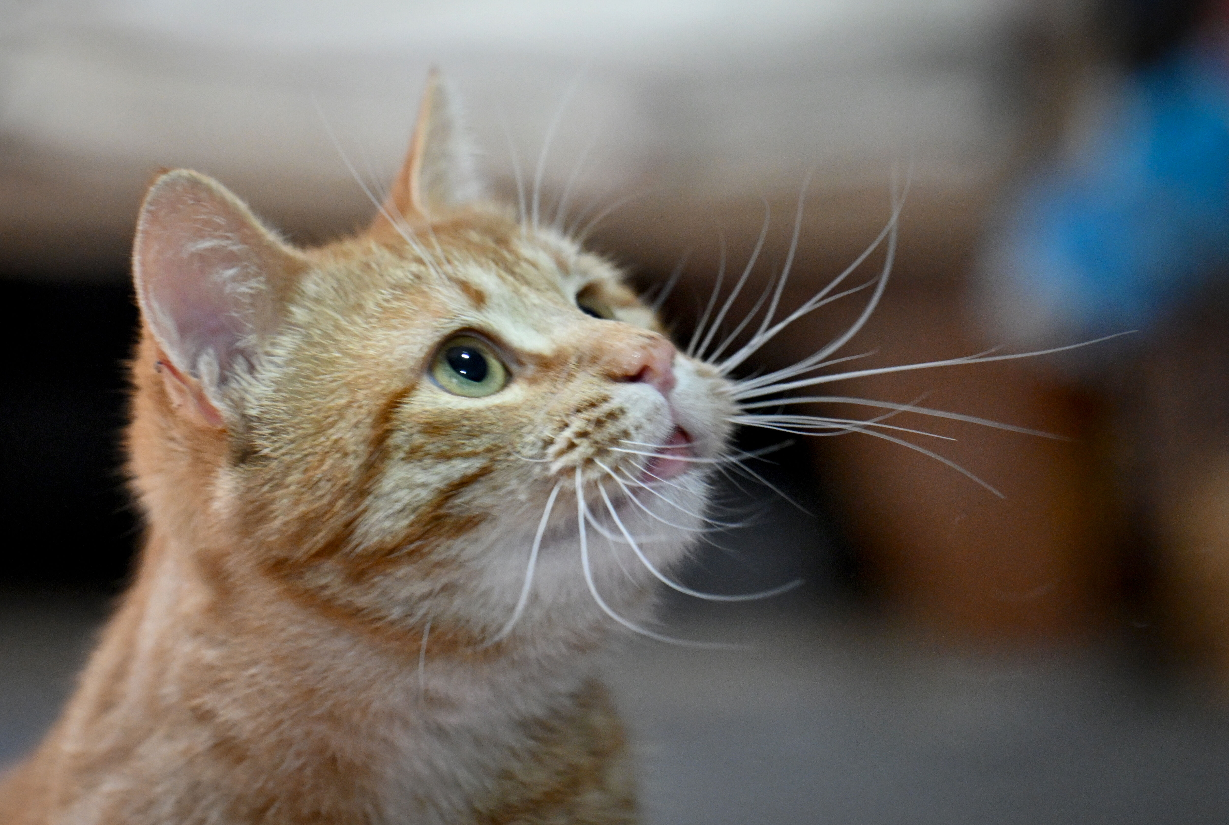 A A 20260404 41010005 41009998 A R A C C A R P M A S I Y L A A G I R Y A R A L A N A N S A H I P S I Z K E D I M U D U R Y E N I D E N S A G L I G I N A K A V U S T U