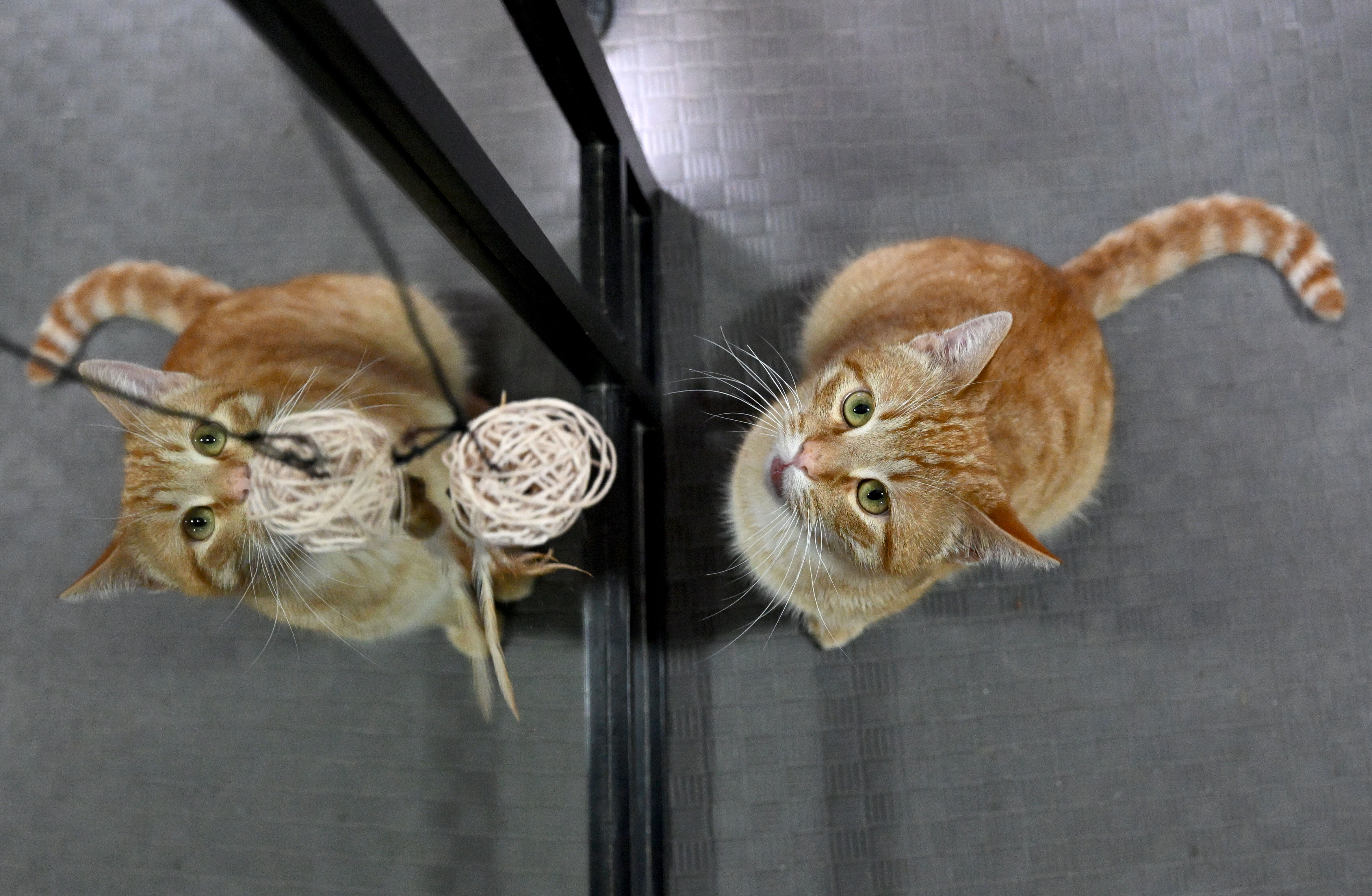 A A 20260404 41010005 41010003 A R A C C A R P M A S I Y L A A G I R Y A R A L A N A N S A H I P S I Z K E D I M U D U R Y E N I D E N S A G L I G I N A K A V U S T U