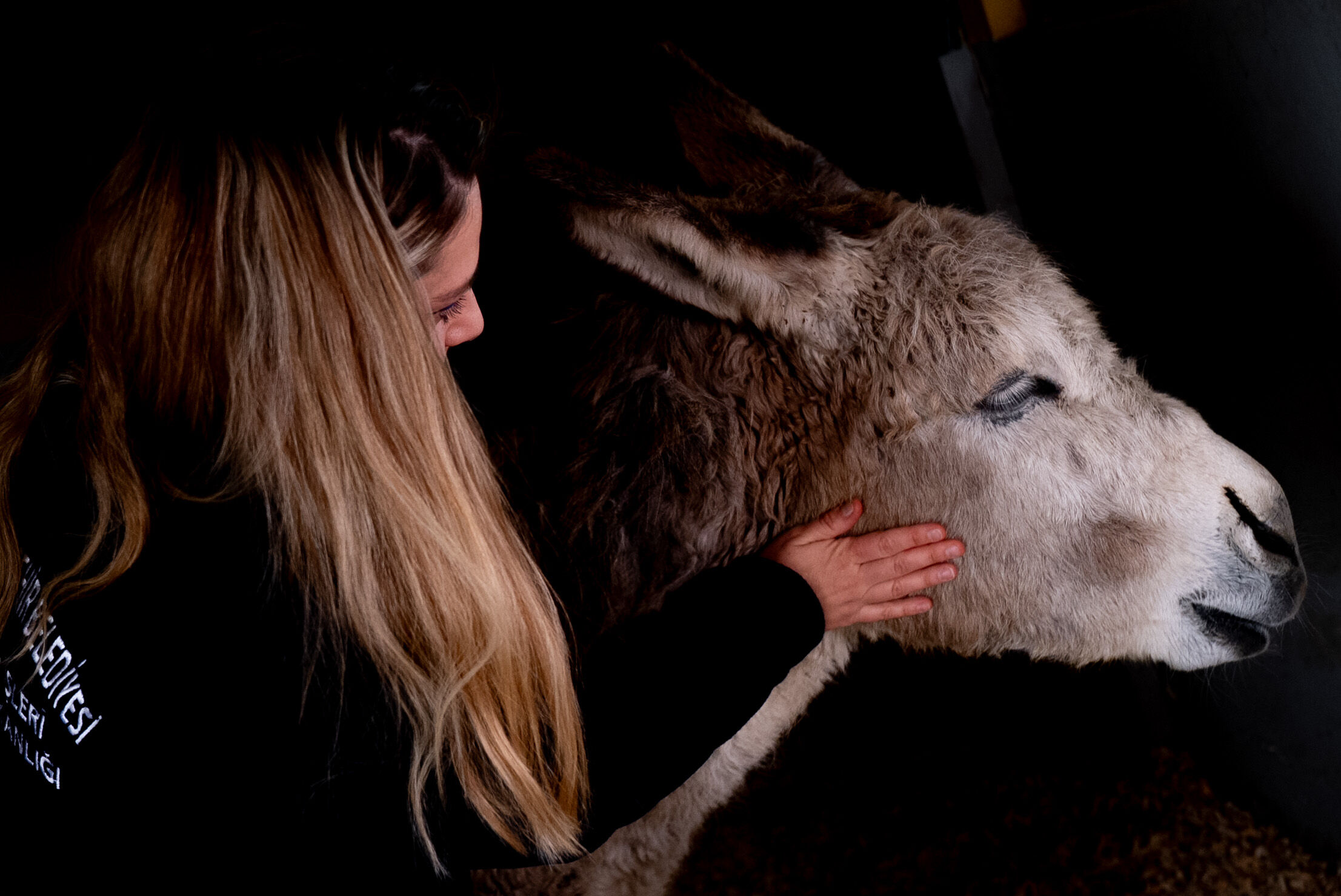 A A 20260404 41010160 41010148 Y A R A L I B U L U N A N E S E K G A R I P T E D A V I N I N A R D I N D A N B A K I M M E R K E Z I N I N M A S K O T U O L D U