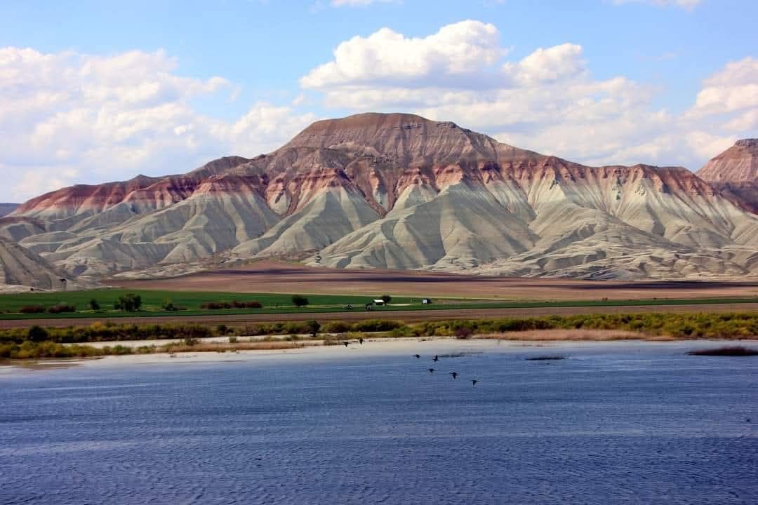 A A 20260412 41085099 41085097 N A L L I H A N K U S C E N N E T I G O C M E N K U S L A R L A S E N L E N D I