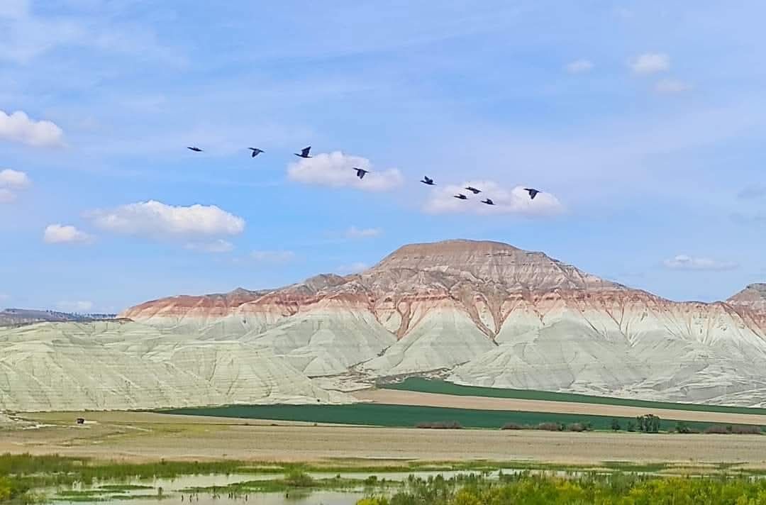 A A 20260412 41085099 41085098 N A L L I H A N K U S C E N N E T I G O C M E N K U S L A R L A S E N L E N D I