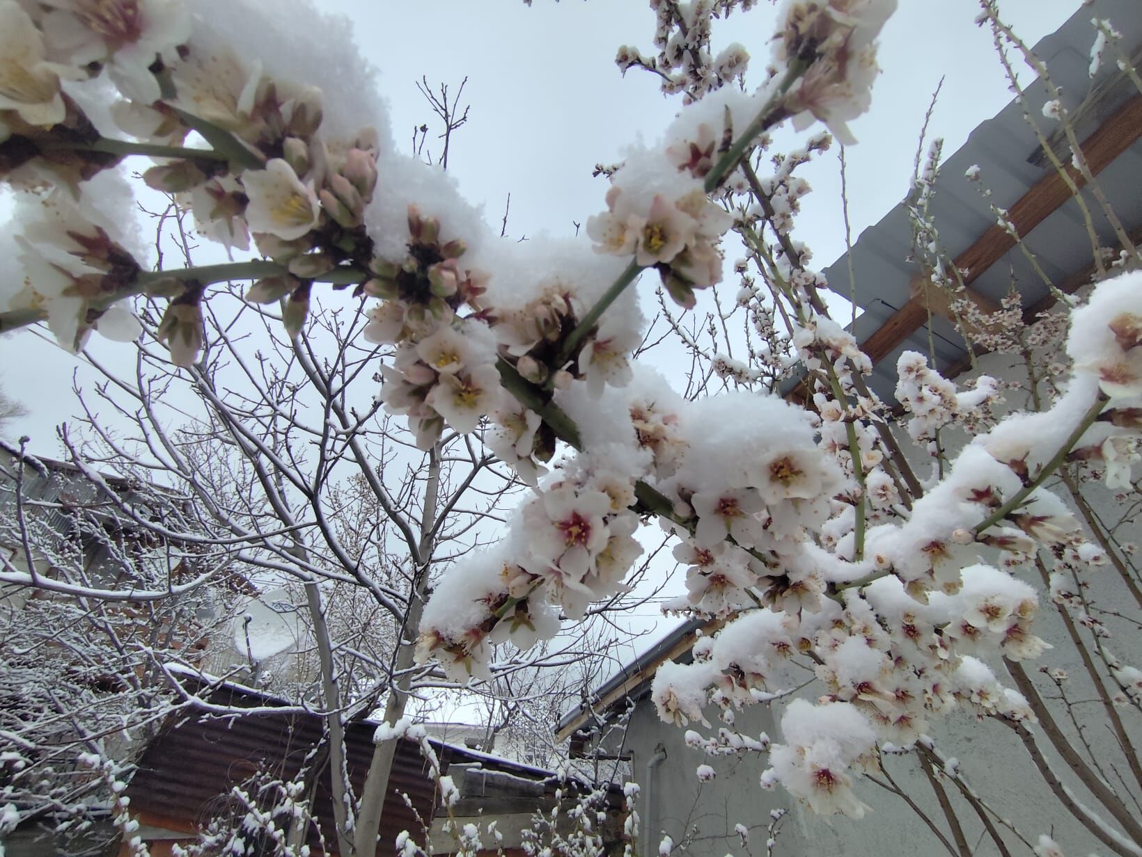 A A 20260412 41086683 41086682 B E Y P A Z A R I N I N Y U K S E K K E S I M L E R I N D E N I S A N K A R I E T K I L I O L D U