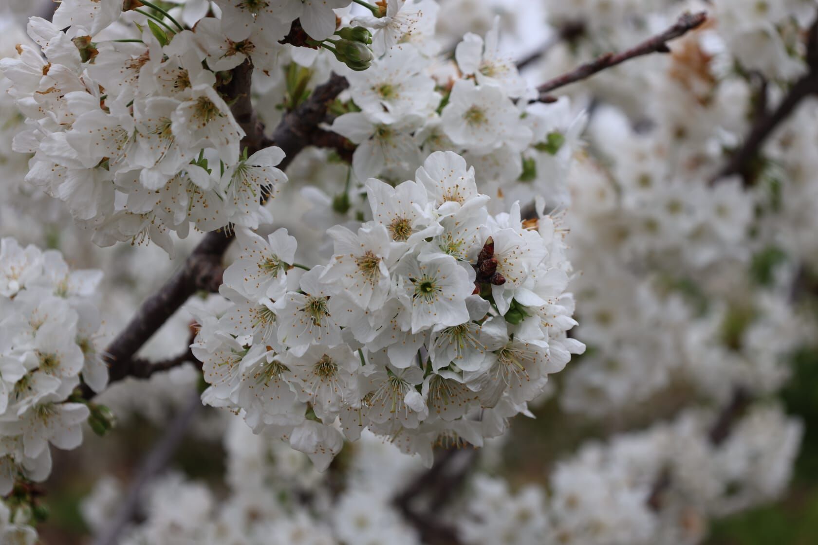 Whatsapp Image 2026 04 18 At 13.22.24