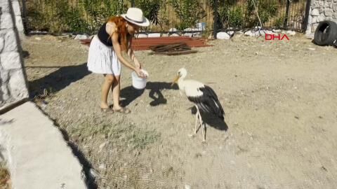 Sitenin bahçesine konan leyleğe sahip çıkıp, balık ve etle besliyorlar