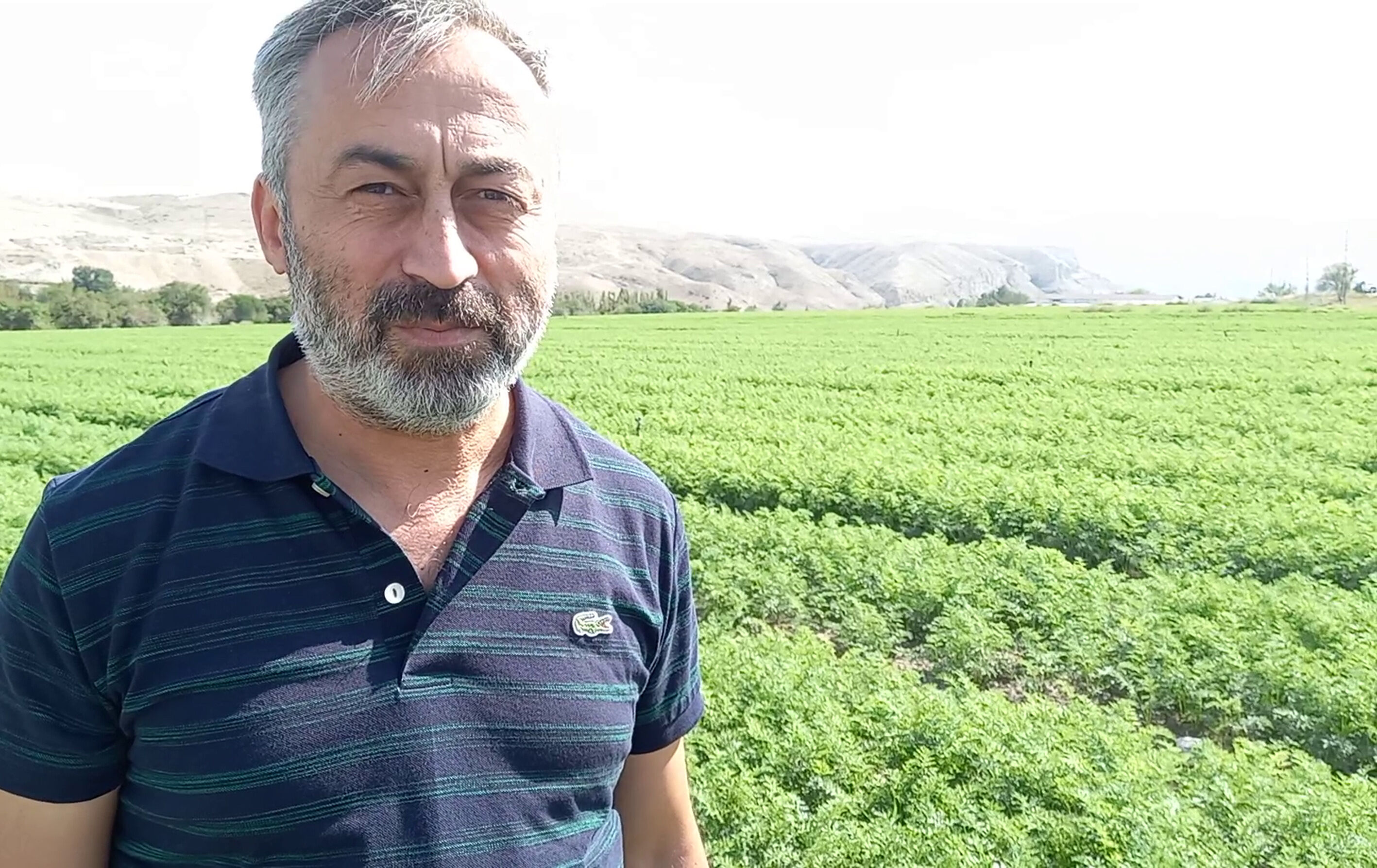 Beypazarı'nda 600 bin dekardan fazla alanda tarımsal üretim yapılıyor