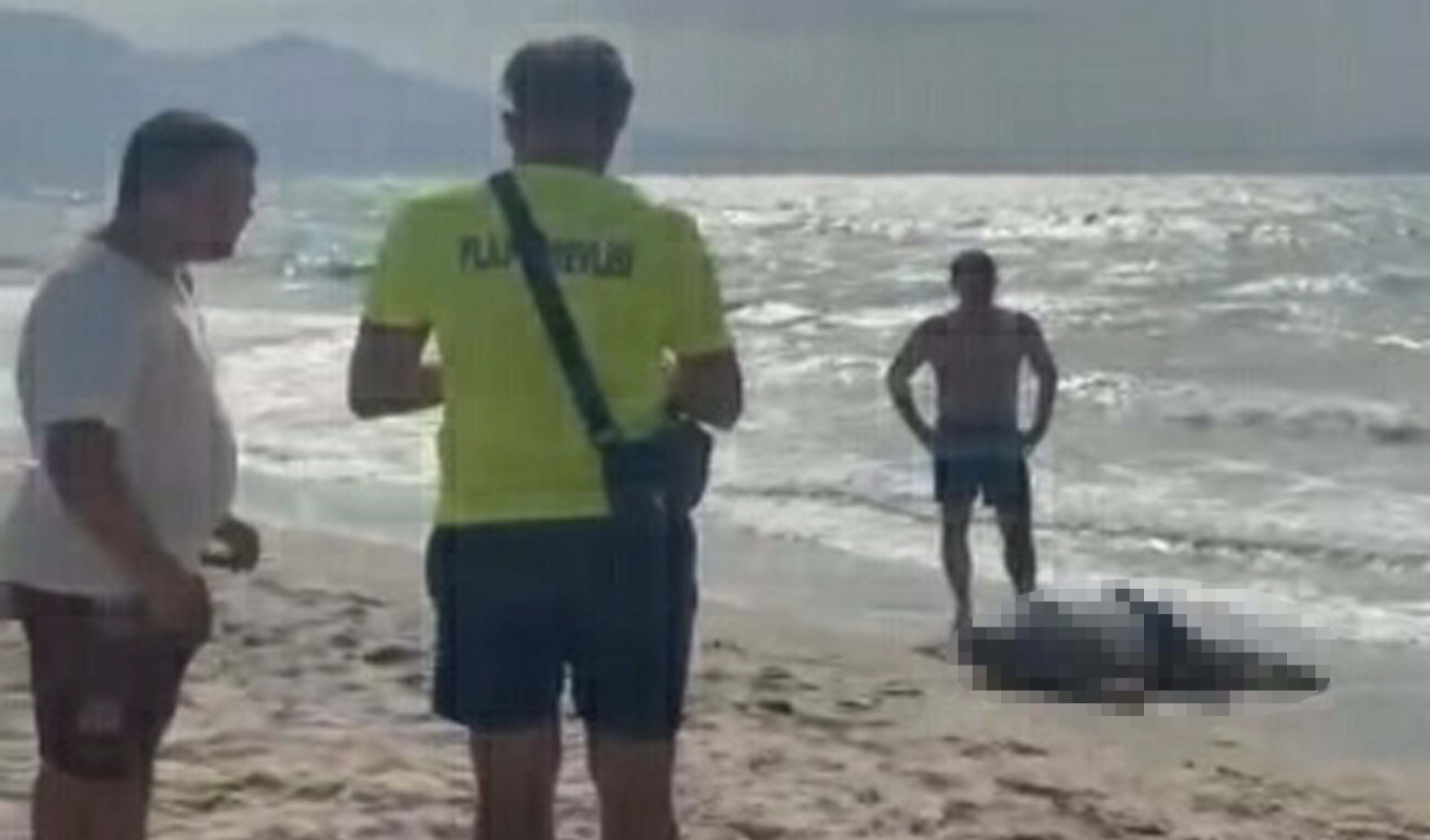 Yattan düşen iş insanının cesedi sahilde vurdu