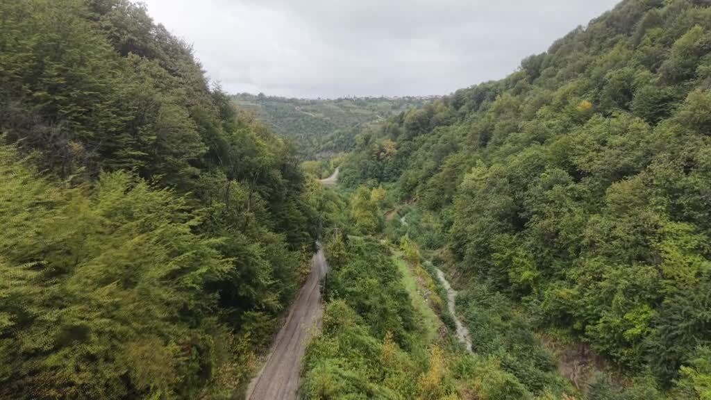 Sinop'ta ormanlar sonbahar renklerine bürünüyor
