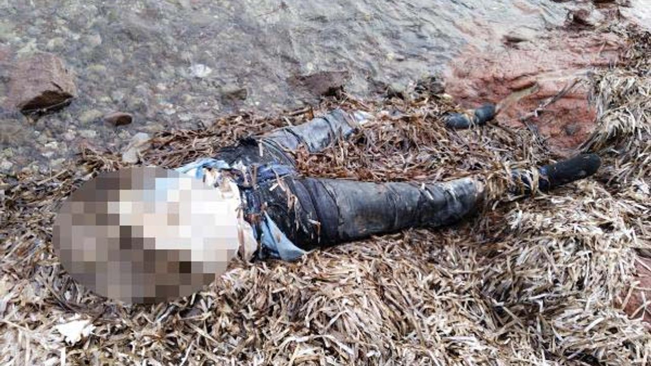 Bodrum’da sahilde bedeninin üst kısmı olmayan kadın cesedi bulundu 