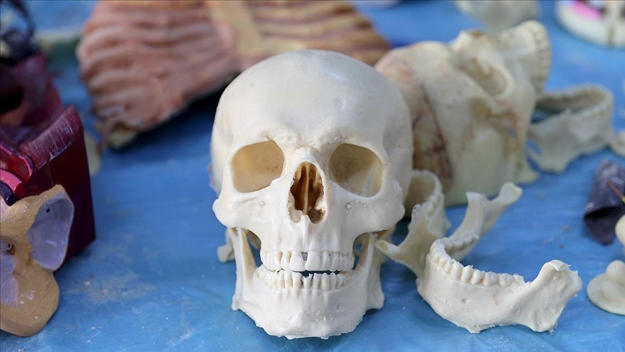 Anatomi profesörü KOSGEB desteğiyle kadavranın yerini alan tıbbi maketler üretiyor