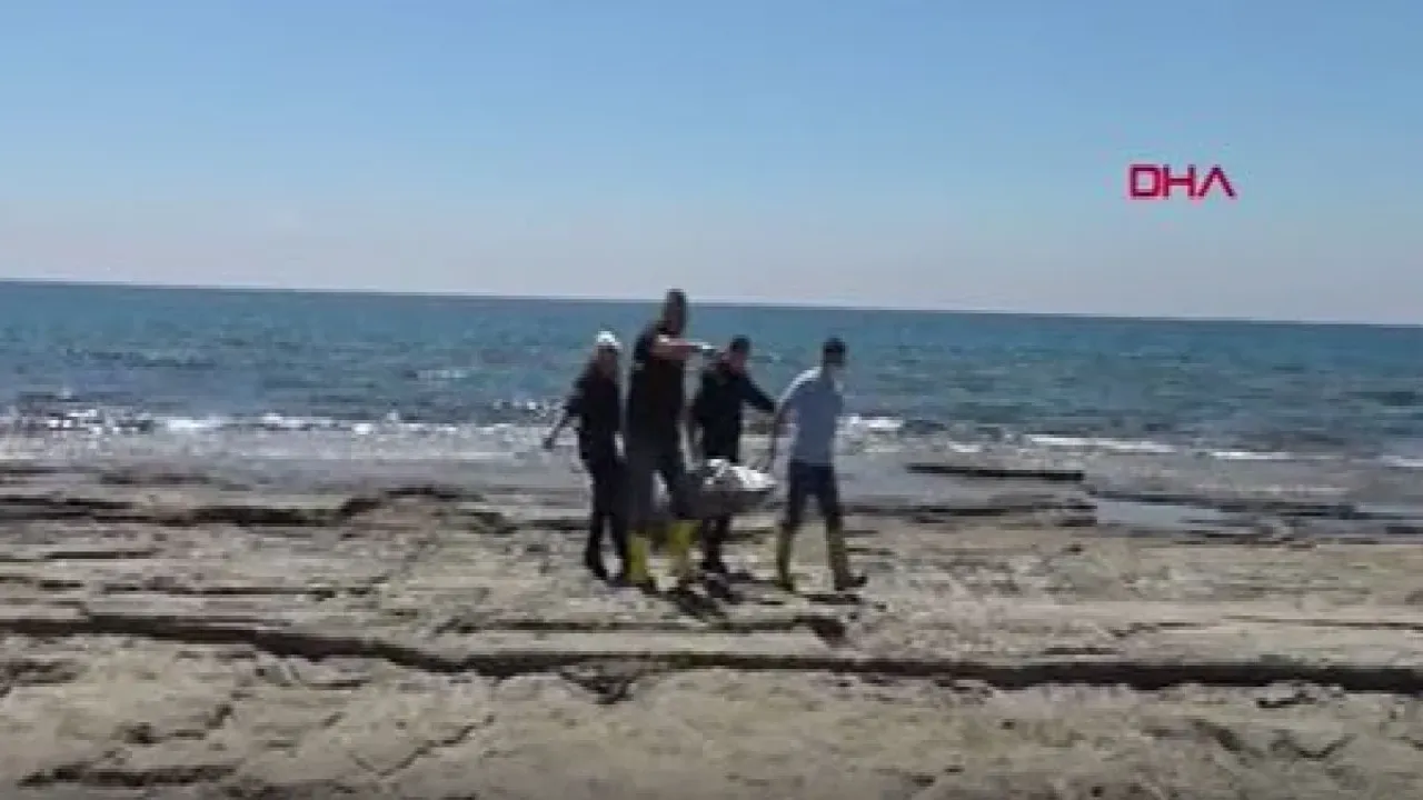 Antalya'da sahilde 6 günde 8'inci ceset bulundu