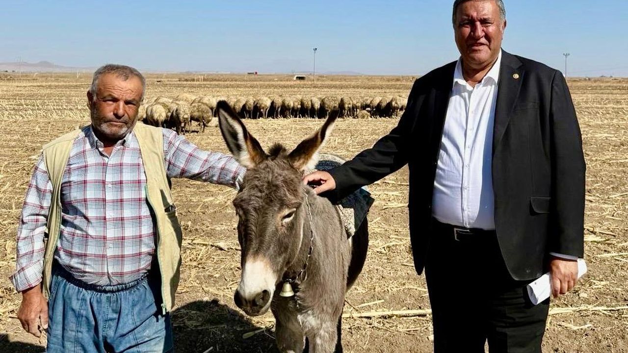 CHP'li Gürer, “Hayvancılıkta sorunlar artıyor”
