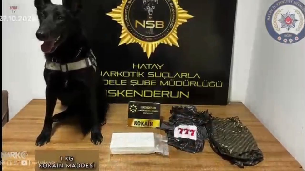 Hatay'da 5 milyon 500 bin TL'lık kokain ele geçirildi; 2 tutuklama