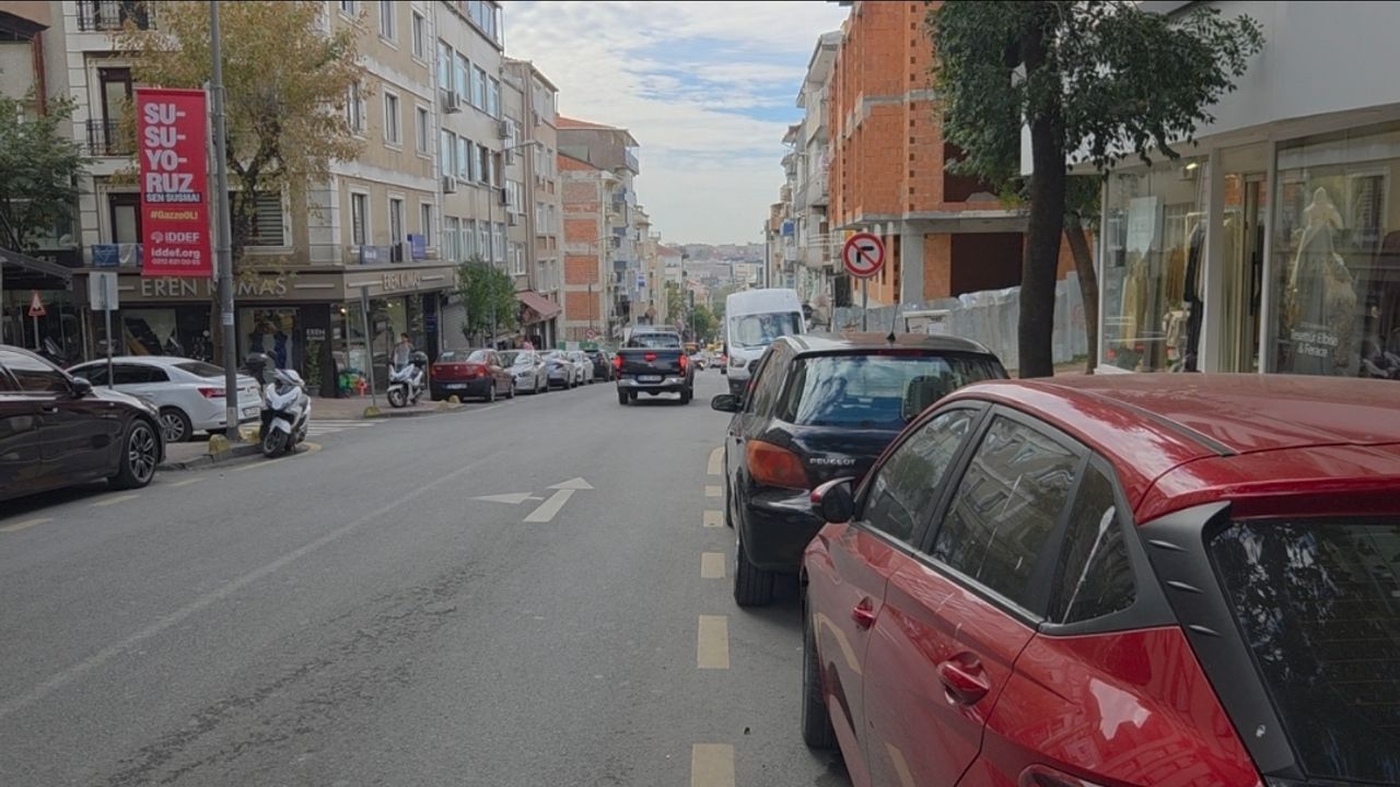 Fatih'te otomobilin ezdigi köpek Kuki öldü; o anlar kamerada
