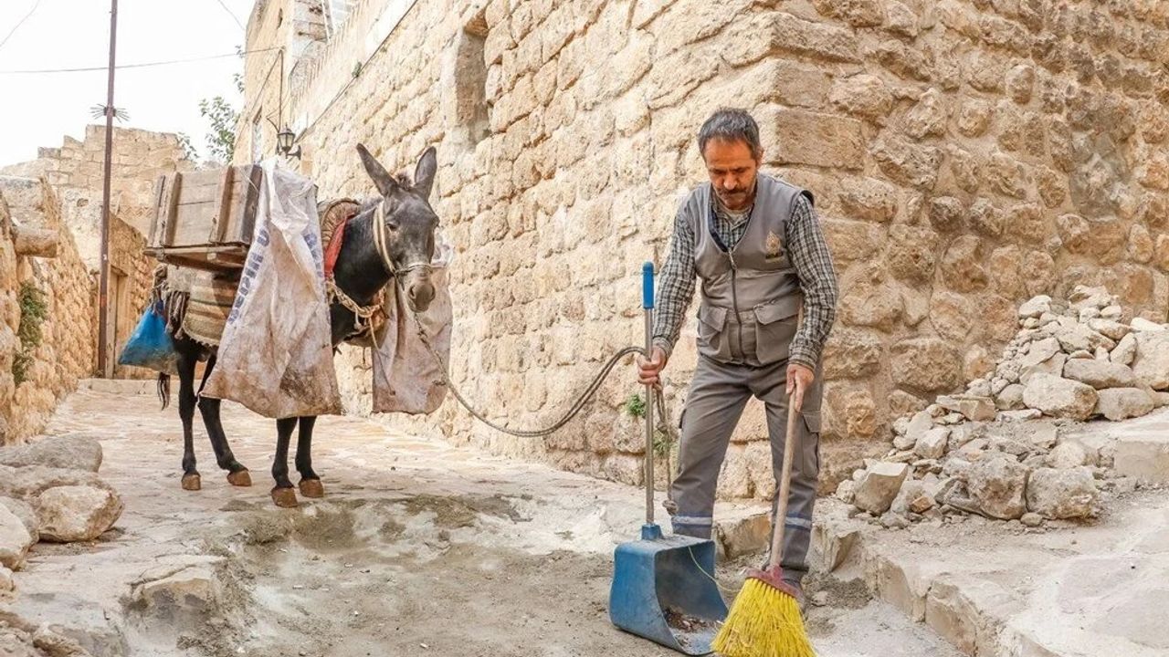 Mardin’de çöp taşıyan kadrolu eşekler emekli edilecek; yerlerine elektrikli paletli araçlar geliyor
