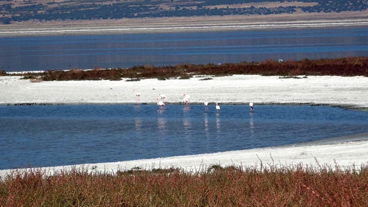 Prof. Dr. Gülle: Bundan sonra bütün göller küçülme trendinde