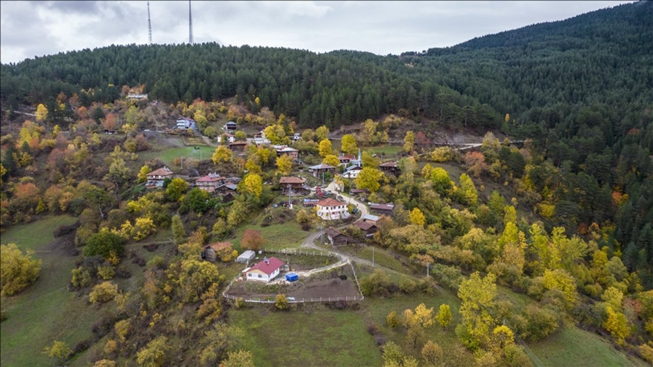Ilgaz Dağı'nda sonbahar tüm renkleriyle yaşanıyor