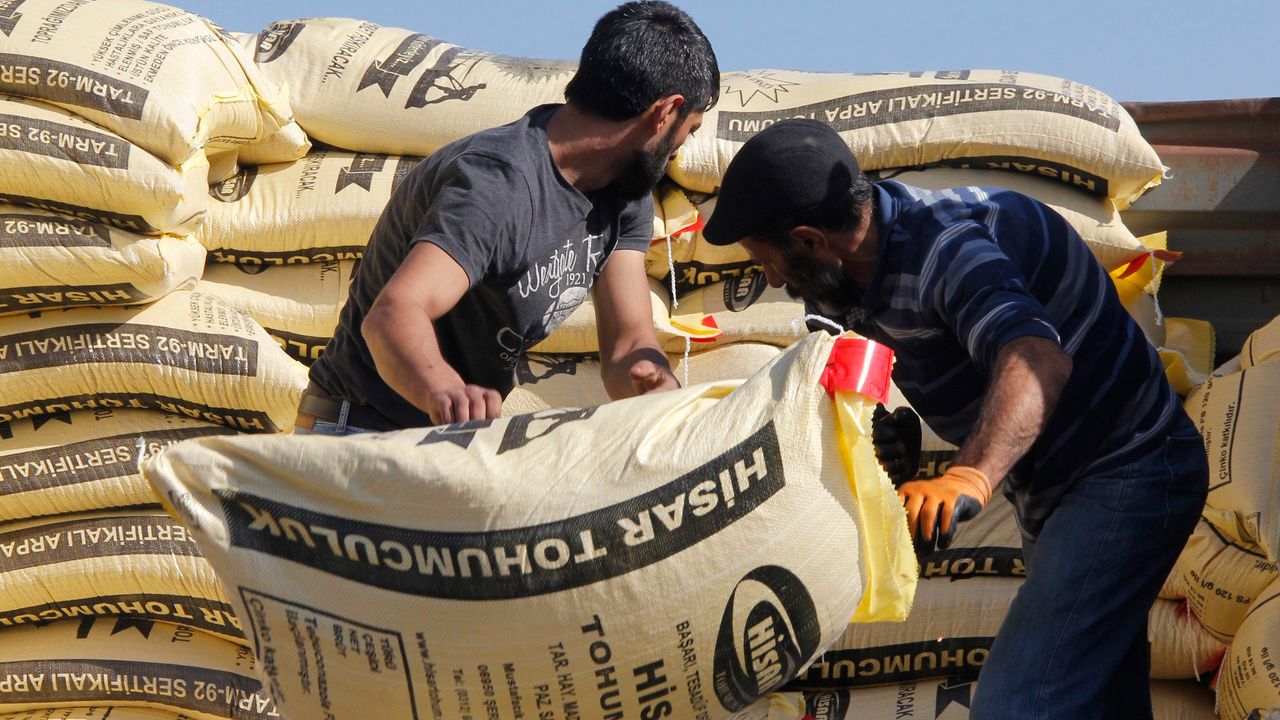 Beypazarı çiftçilerine tohum ve gübre desteği