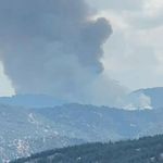 Aydın'da orman yangını