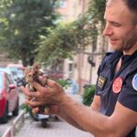 Gider borusuna sıkışan kediyi itfaiye ekipleri kurtardı