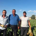 Gürer: Pancar üreticisi fiyat bekliyor, çiftçinin beklentisi en az 4 bin lira