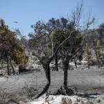 Yunanistan'da Attiki ve Voiotia'daki yangında 111 bin 732 dönüm kül oldu
