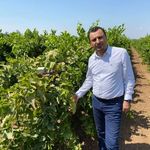 YENİ Parti’li Başevirgen’den çiftçiyi koruyacak üzüm fiyatı çağrısı