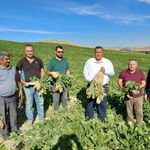 CHP’li Gürer: Çiftçi girdi maliyet artışına yetişmeye çalışırken yaşlandı
