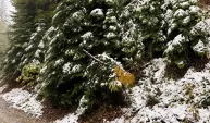 Bolu’nun yüksek kesimlerine kar yağdı