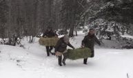 Bolu'da yaban hayvanları için doğaya yem bırakıldı