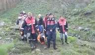 Mantar toplarken ayı saldırısında yaralandı