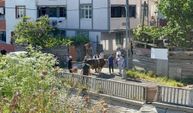 Esenyurt'ta kaçak kurban kesenlere ceza